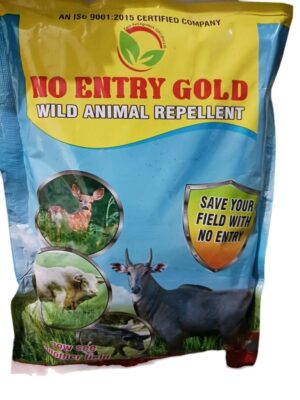 No Entry Gold